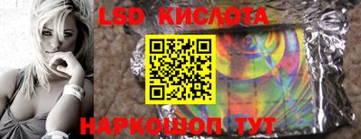 индика Новозыбков
