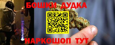 индика Новозыбков