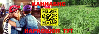индика Новозыбков