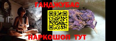 индика Новозыбков