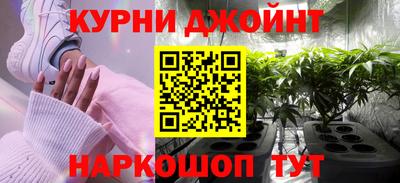 индика Новозыбков